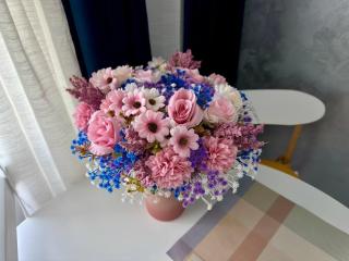 Studio 84 Central - Home Cinema - Confort Premium - 4