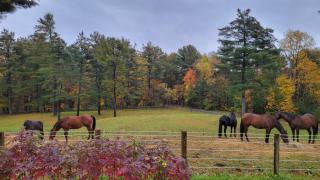 The Suite at Liberty Woods - 7