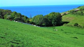 Chambre d' hôtes Etigue - Etretat - 6
