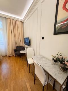 Premium Wenceslas Square Apartments - Příčná - 9