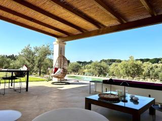 Ostuni Villa with Trullo 3 bedrooms Pool in Olive Grove near the Sea - 2