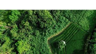 Canggu River House by Bhumi Management - 5