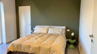 Lanizoladelroero - 9