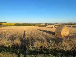Le Chai d'Auguste - 7