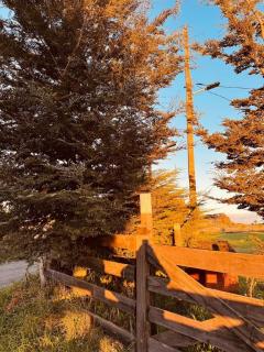 La Ovejera Panguipulli - 2