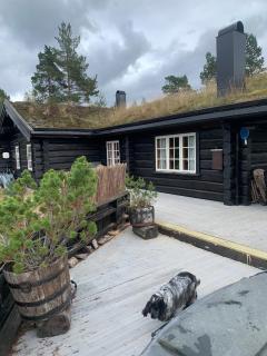 Familiehytte I Telemark med 4 soverom - 0