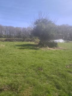 Casa Rural dos Lameiros - 2