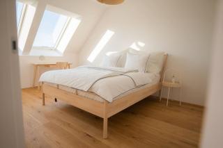 Penthouse with a terrace near Schonbrunn Palace - 8