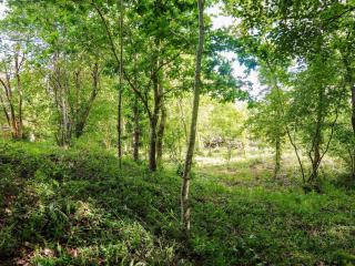 6 person holiday home in Hadsund-By Traum - 2