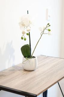 Your Methven Escape Starts Here - 2