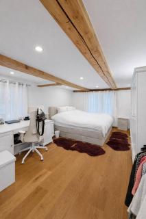 Elegant Lake Zurich House with Stunning Views and Private Terrace - 6