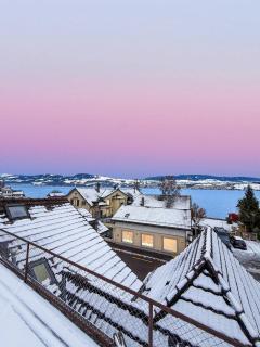 Elegant Lake Zurich House with Stunning Views and Private Terrace - 1