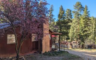 Rose Cabin - 9