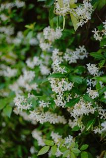 La Maison du Village - 8