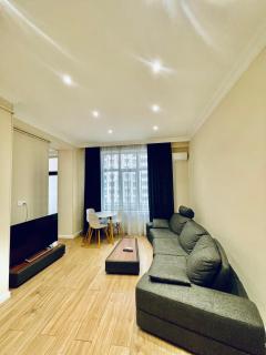 Narimanov's apartment at Metropark - 7