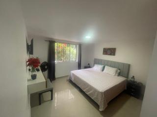 Oasis verde en pleno centro - 8