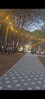 Beach Rental House SPILLE - 1