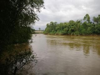 Kaluganga Holiday Home - 2