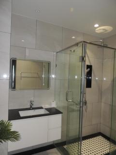 Luxury 2 bedroom pool access apartment - 2