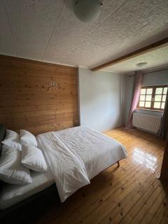 Forest&Lake RESORT - 2