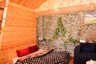 Jibhi wooden cottage - 6