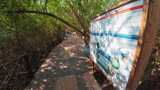 Mariposa - Casa Corazon Mazunte - 2