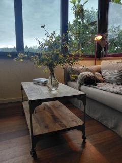 Chalet Entre Parques Naturales - 8