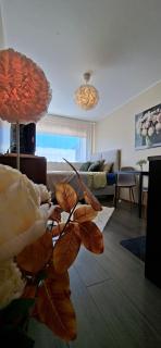 Laine Apartment - Pärnu - 0