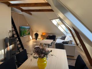 Penthouse apartment in the heart of Bergen with beautiful private rooftop - 6