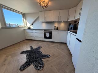 Penthouse apartment in the heart of Bergen with beautiful private rooftop - 3