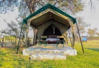 Emms Cubango Ecological Camp - 5