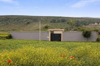 Family Villa with Pool in Northeast Morocco - 4