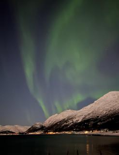 Cottage in Kongsvik - 5
