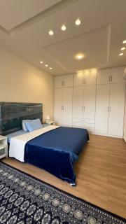 شقة ديلوكس مع روف - 3