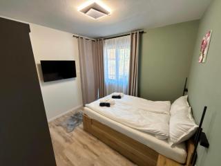 Forest Lux Apartman - 7