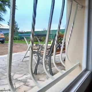 Vive le vert pomme ! -  - 1