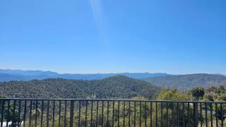 Woodpecker's Nest - 6