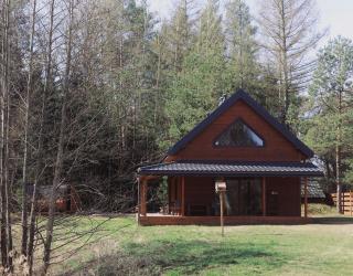 Dom przy Lesie z sauną - Augustów - 0