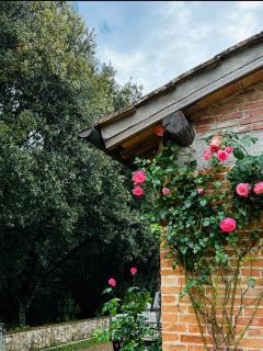 Casa in campagna Toscana Podere Scorno - 8