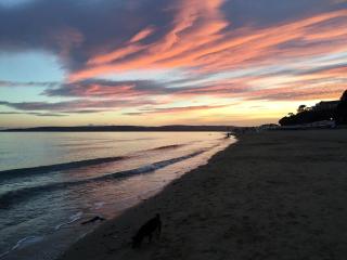 Beautiful quiet location 5 mins from beach! - 3