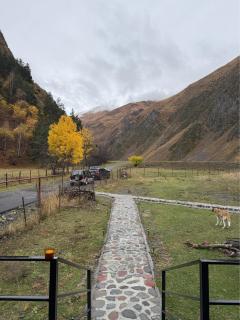 River View Cabin Kazbegi - 3