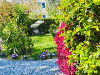 B&B Villa Lula Lucca - Lucca - 4