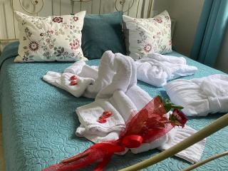 B&B Villa Lula Lucca - Lucca - 1