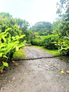 Hacienda San René - 8