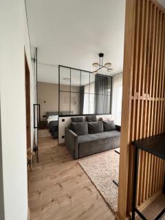 New apartment in Uzhgorod - 1