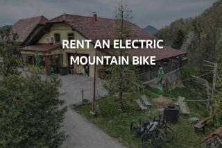 Farm Stay Šolinc - 9