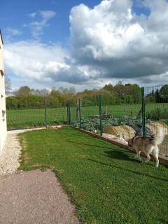 Agréable Duplex - 9