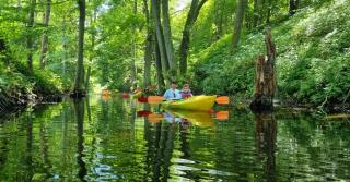 APARTAMENTY NA PLAŻY - KRUKlanki - 5