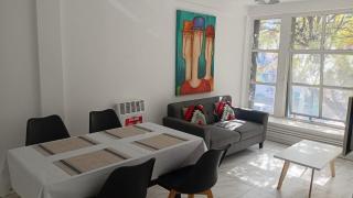 Departamento centro Gral Roca - 9