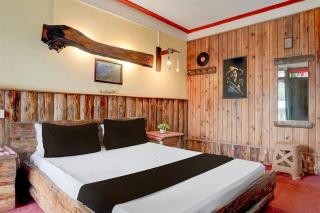 Hotel O Druk Wellness Resort - 8